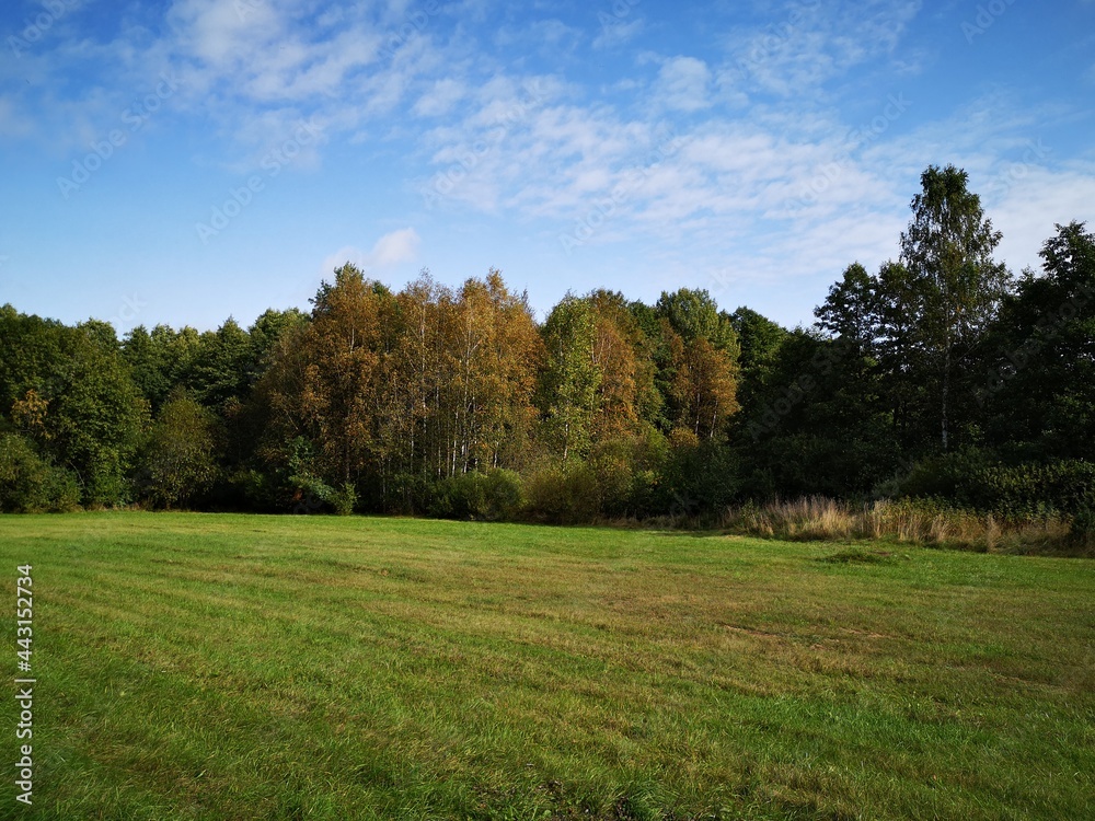 summer vacation in Naroch Belarus