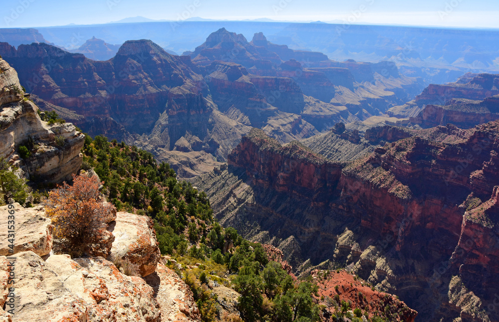 spectacular view from bright angel point in autumn over the north rim of the grand canyon national park, arizona spectacular view from bright angel point in autumn over the north rim of the grand canyon national park, arizona