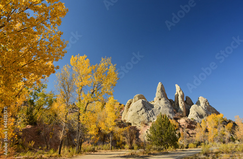 beautiful fall cottonwood colors and striking rock formations along the unpaved cottonwood canyon road in grand staircase escalante in southwestern utah, near kanab  photo