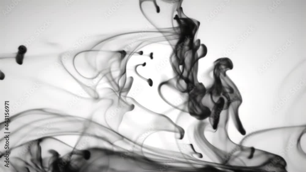 Ink Drop In Water White Background Ink Drop In Water White Background