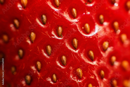 Extreme macro of strawberry texture selective focus background