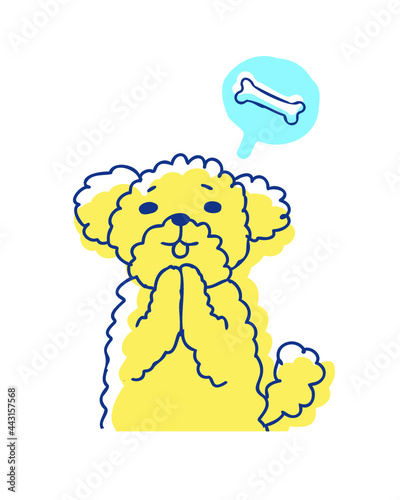 おやつをおねだりするプードル