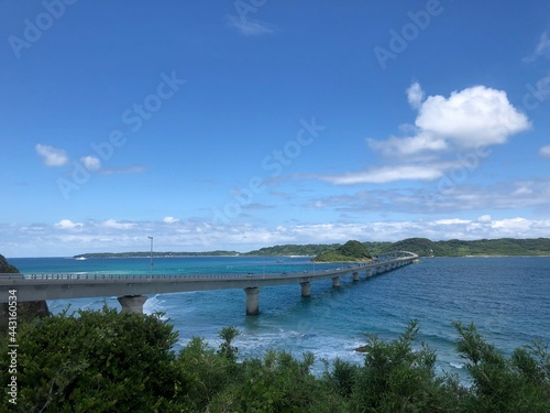 Wallpaper Mural bridge over lake Torontodigital.ca