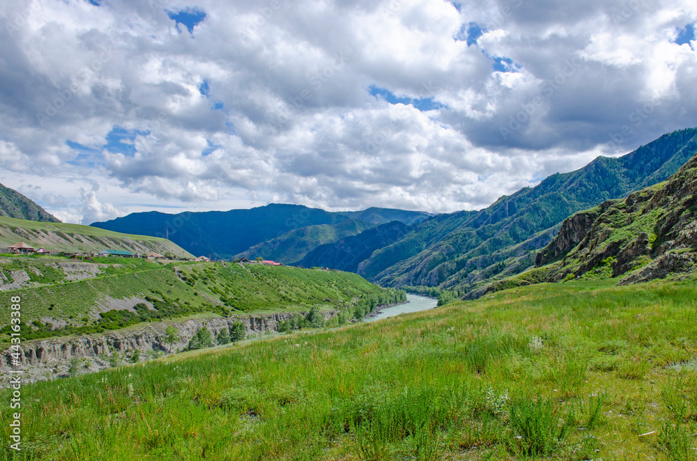 landscape of Mount Altai and mountain river in Russia
