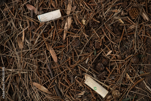cigarrillos contaminando bosque fondo textura para anuncios