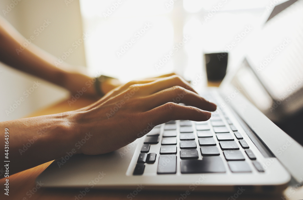 ノートパソコンと女性の手元 Stock Photo Adobe Stock