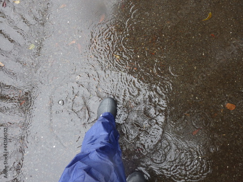 雨の日に水溜りのある遊歩道を歩く雨合羽と長靴を履いた男性の足もと