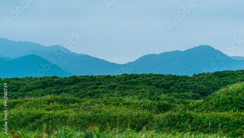 Kamchatka the coast of the Halaktyrsky beach in the fog