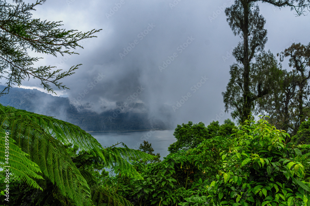 View of Lake Buyan on a misty day on Bali island, Indonesia.  the second biggest lake in bali  Volcanoes have created and shaped this island and producing rich soils enabling a lush forest to grow.