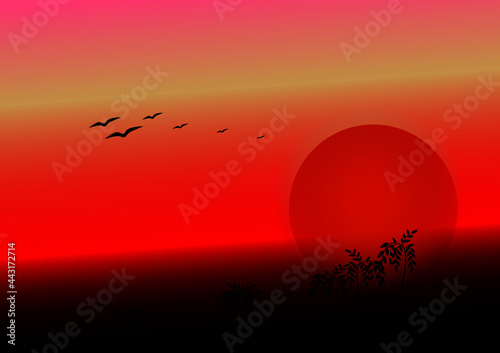 birds on sunset