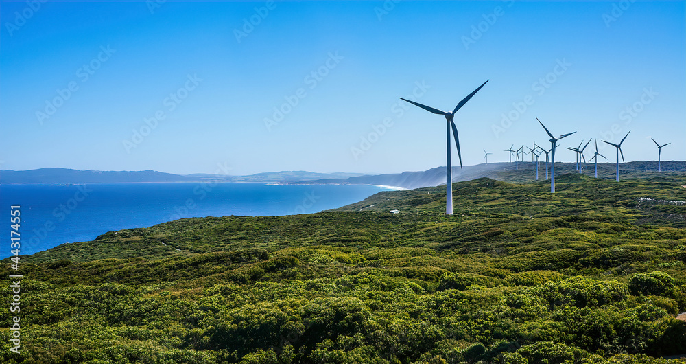 Albany Wind Farm in Western Australia.