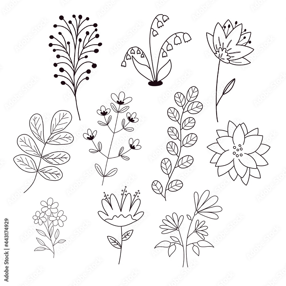 Hand Drawn Flowers Clip Art Element on white background
