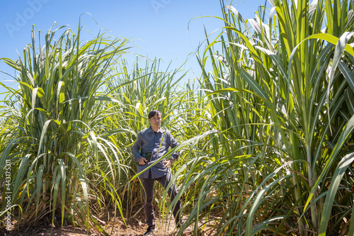 Portrait of an Asian male farmer in the daytime at his proud farm.