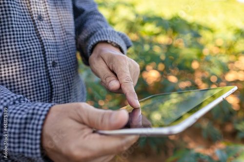 Asian farmers use digital tablets to gather information and analyze the crops in their fields.