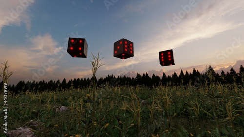 flying dice at cornfield