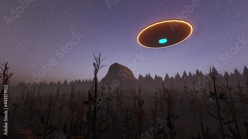 ufo at cornfield