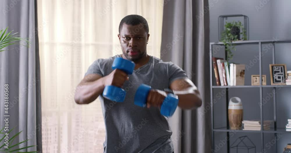 Waist up portrait view of the multiracial strong man doing arms workout, while training with dumbbells at home. Sport and recreation concept Waist up portrait view of the multiracial strong man doing arms workout, while training with dumbbells at home. Sport and recreation concept