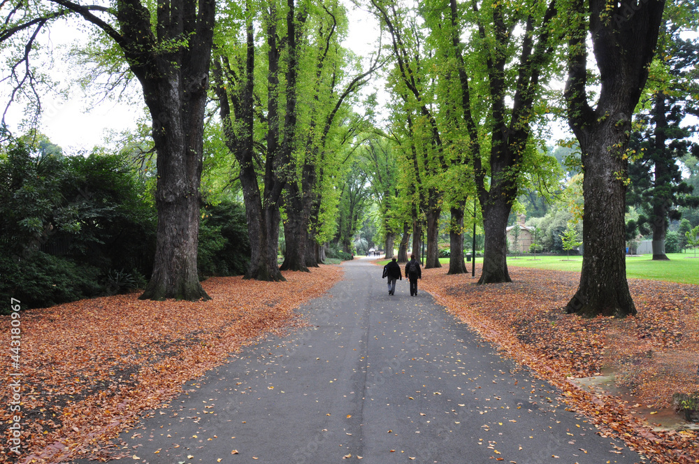 Women Walking