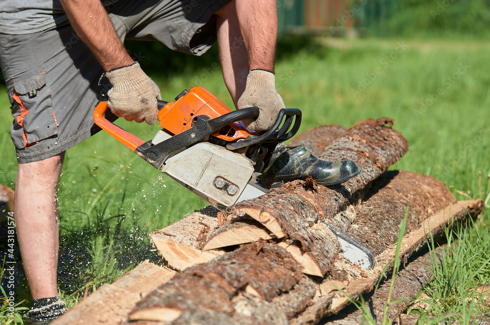 sawing timber with a chainsaw on a sunny day in summer sawing timber with a chainsaw on a sunny day in summer