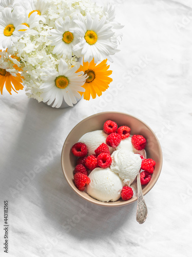 Vegetarian homemade ice cream with vegetable milk with fresh raspberries on a light background, top view
