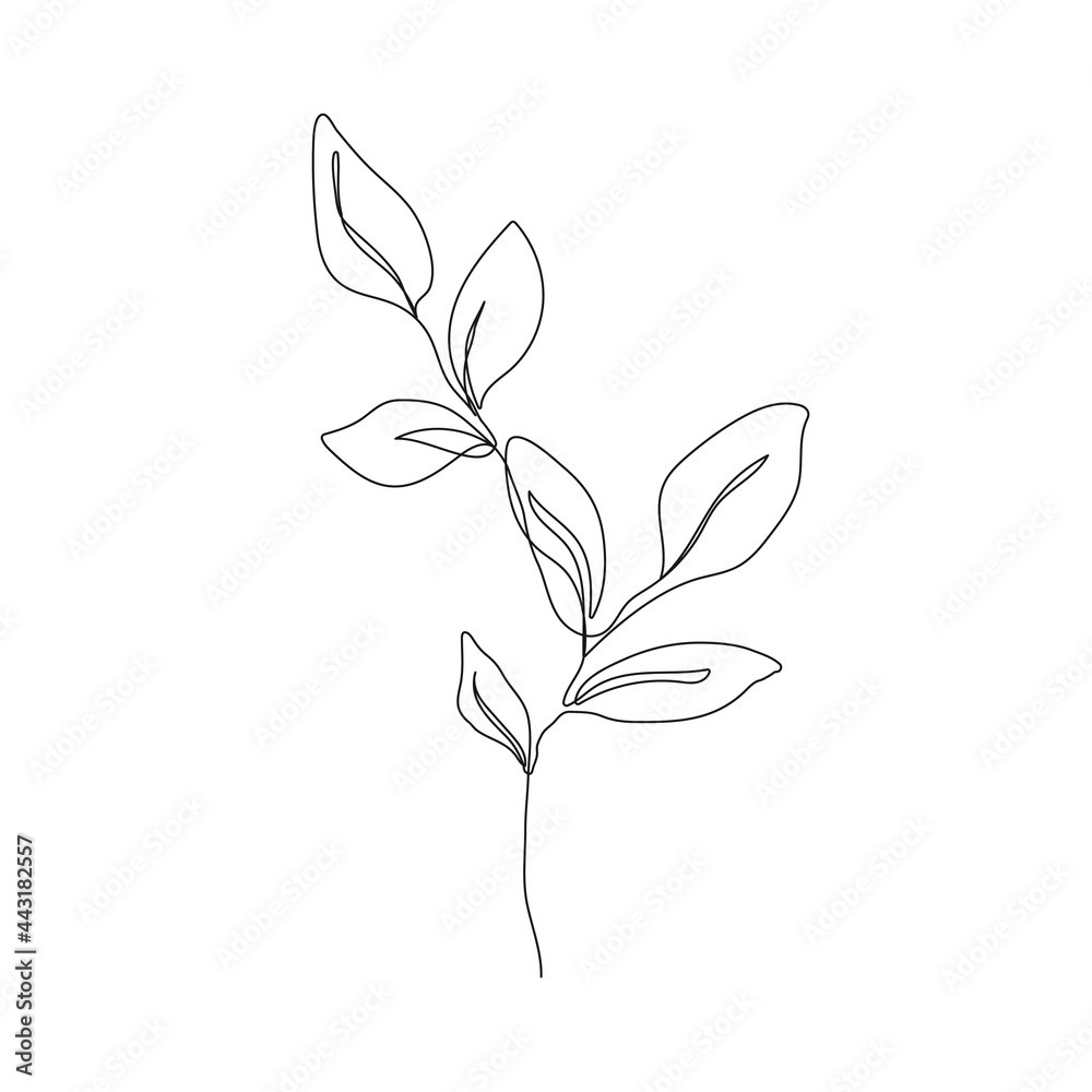 Simple Leaf Drawing PNG Transparent Images Free Download | Vector Files |  Pngtree