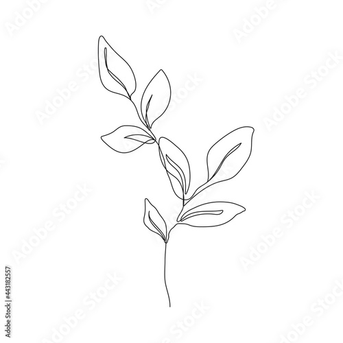Continuous Line Drawing of Leaves Branch Black Sketch Isolated on White Background. Simple Leaf One Line Illustration. Minimalist Botanical Drawing. Vector EPS 10.