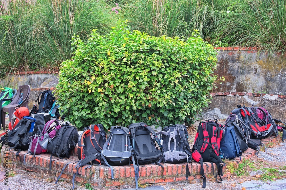 Obraz premium Group of backpacks ready for hiking