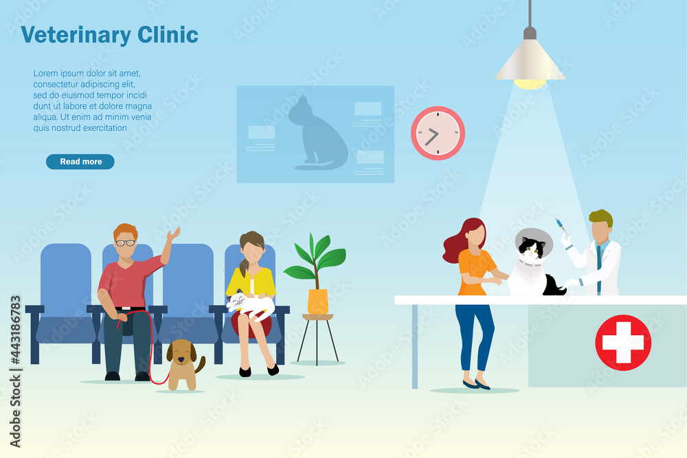 Animal hospital, veterinary clinic or cat and dog vaccination concept. Veterinarian doctor diagnosis and injecting sick cat at table in vet clinic, other sick animals are queuing.