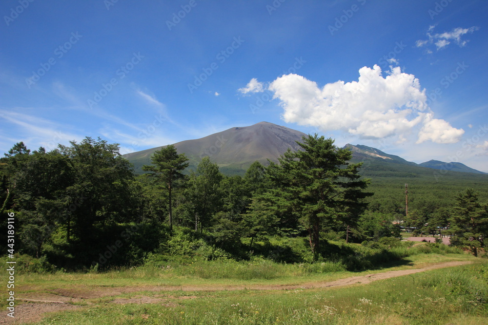 北軽井沢の夏。浅間牧場の風景。青い空と浅間山。