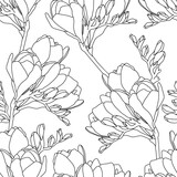 Seamless vector pattern with black line freesia on a white background