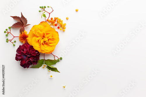 Autumn composition with flowers, leaves and berries on white background. Flat lay, copy space.