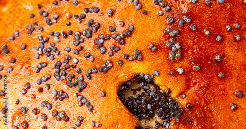 Poppy seeds on a bun as a background.