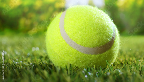 Tennis ball on green grass in summer