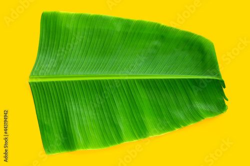 Tropical banana leaf on yellow background.