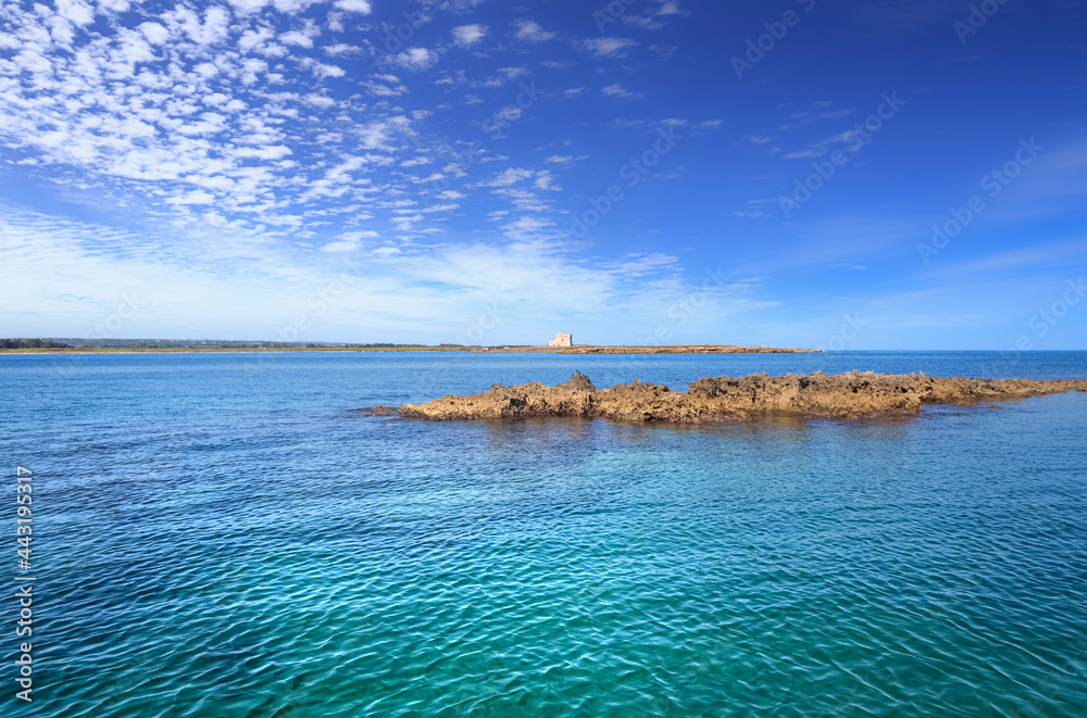 Apulia sea: Nature Reserve of Torre Guaceto in Italy. The nature sanctuary between the land and the sea: in the background the medieval guard tower.