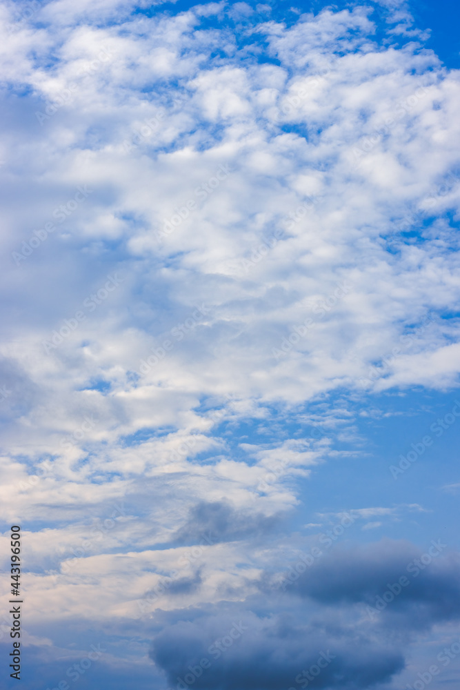 Scattered bright white clouds under the beautiful blue sky vertical view