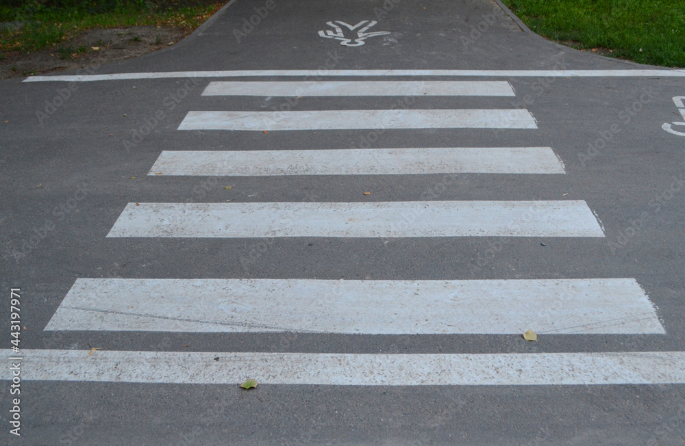 Pedestrian crossing in the park area on gray asphalt. Pedestrian crossing in the park area on gray asphalt.