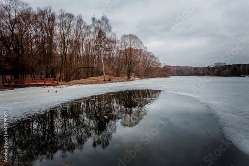 Frozen lake in spring. Ice and yellow forest shore. The ice melts in the spring.