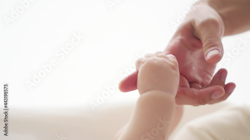 大人と手をつなぐ赤ちゃん