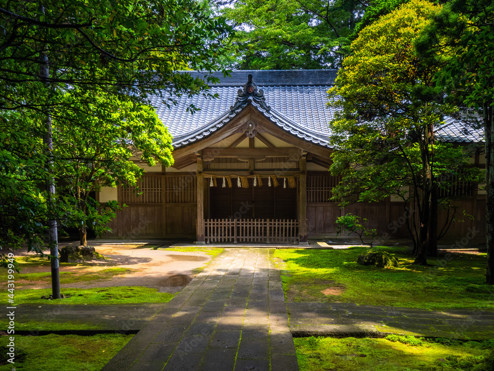 Wooden palace for shinto priests (Yahiko shrine, Yahiko, Niigata, Japan) - obrazy, fototapety, plakaty 