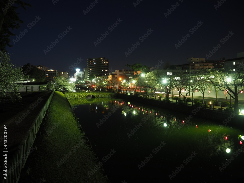 Naklejka premium Illuminated and night view of Odawara Castle