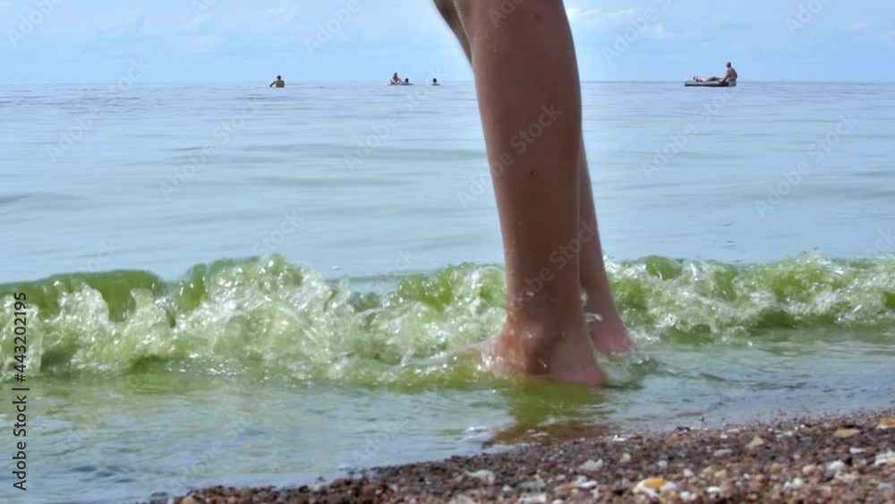 Child trying to bath in sea. Person trying water temperature in sea with foot. Girl touching water with foot before bathing in sea. Child trying to bath in sea. Person trying water temperature in sea with foot. Girl touching water with foot before bathing in sea.