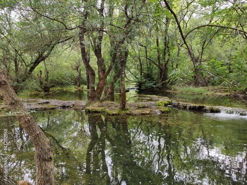 lake in the park