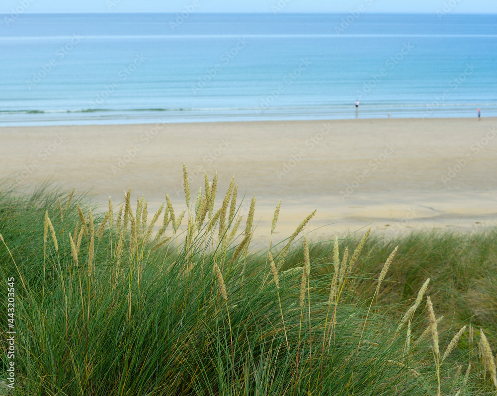 sand dunes and grass over looking beach Hayle Cornwall