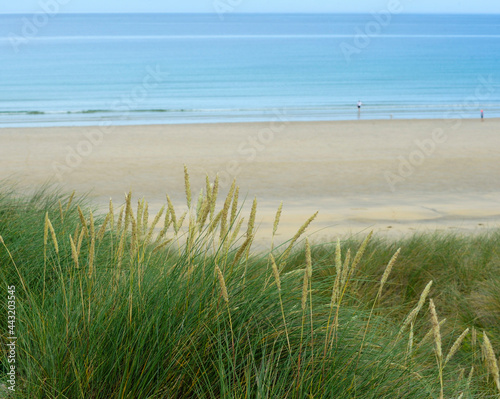 sand dunes and grass over looking beach Hayle Cornwall