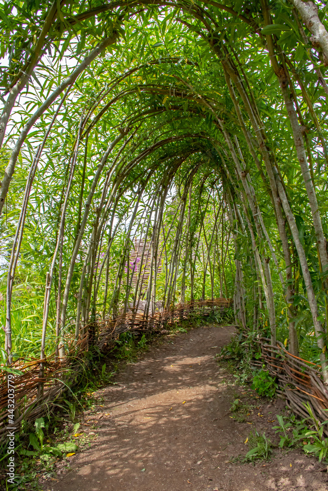 Tonnelle de verdure Tonnelle de verdure