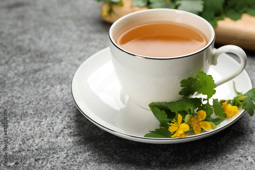 Cup of aromatic celandine tea and flowers on grey table, closeup. Space for text Cup of aromatic celandine tea and flowers on grey table, closeup. Space for text