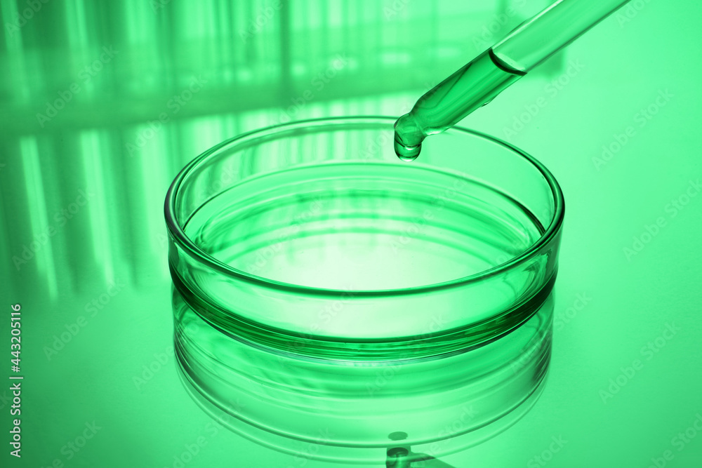Dripping reagent into Petri dish with sample on table, toned in green Dripping reagent into Petri dish with sample on table, toned in green