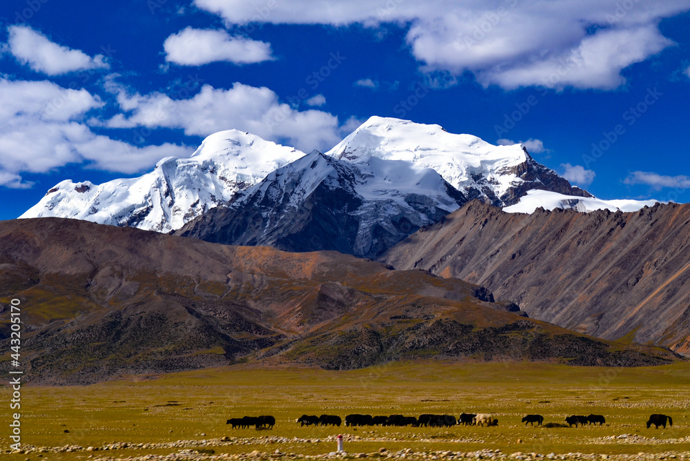 Valley with snow mountains in Tibet