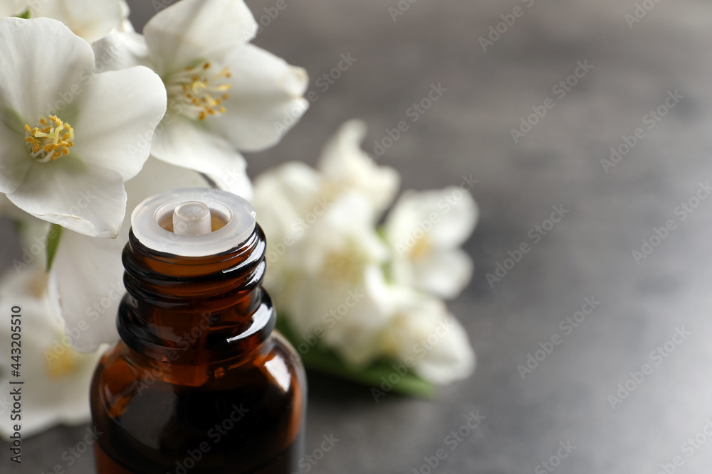 Essential oil and jasmine flowers on grey table, closeup. Space for text Essential oil and jasmine flowers on grey table, closeup. Space for text
